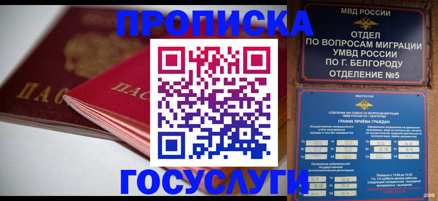 временная регистрация собственник в Биробиджане